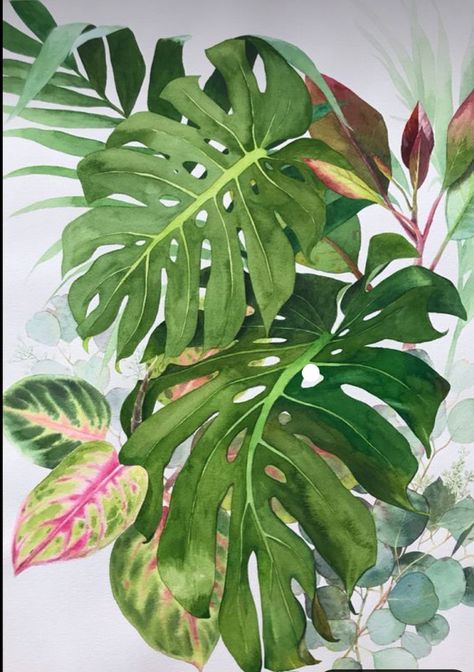 Jungle Plant Painting, Flower With Leaf Drawing, Tropical Scenery Painting, Tropical Watercolor Paintings, Tropical Plants Painting, Tropical Leaf Drawing, Monstera Plant Painting, Tropical Leaf Painting, Monstera Plant Drawing