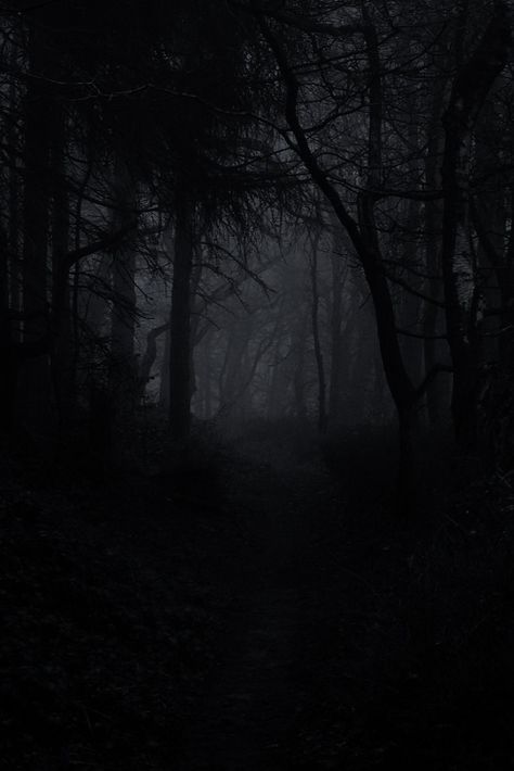 Dark Forest, In The Woods, In The Middle, The Middle, Trees, Forest