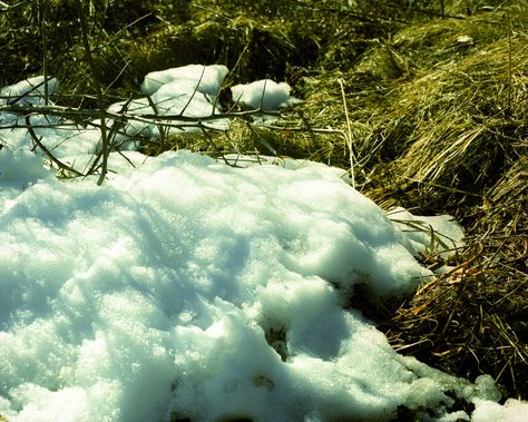 Snow Melting Aesthetic, Images Of Snow, Manfrotto Tripod, Snow Melt, Mamiya Rb67, Drawing Models, Melting Snow, Snowy Field, Snow Images