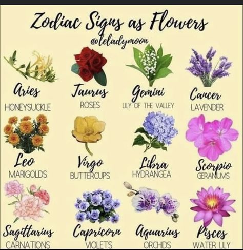 Sagittarius Flower, Feminine Arm Tattoos, Aquarius And Sagittarius, Sagittarius Tattoo, Virgo And Scorpio, Leo And Virgo, Sagittarius And Capricorn, Virgo And Libra, Flower Party