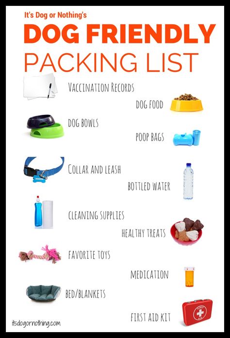 Dog Friendly Travel Packing List T3 Vw, Travel Packing List, Dog Essentials, Dog Camping, Hunting Dog, Dog Info, Dog Care Tips, Pet Hacks, Dog Travel