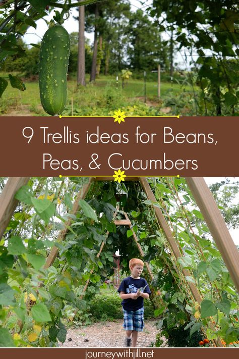 These 9 Trellis Ideas for Beans, Peas, & Cucumbers are completely doable even for a beginner! While some ideas may require two people, many you can do by yourself to grow your garden vertically!  #verticalgardening #gardentrellis #beantrellis Green Bean Trellis, Bean Trellis, Vegetable Trellis, Vertical Container Gardening, Bean Garden, Growing Beans, Cucumber Trellis, Diy Garden Trellis, Trellis Ideas