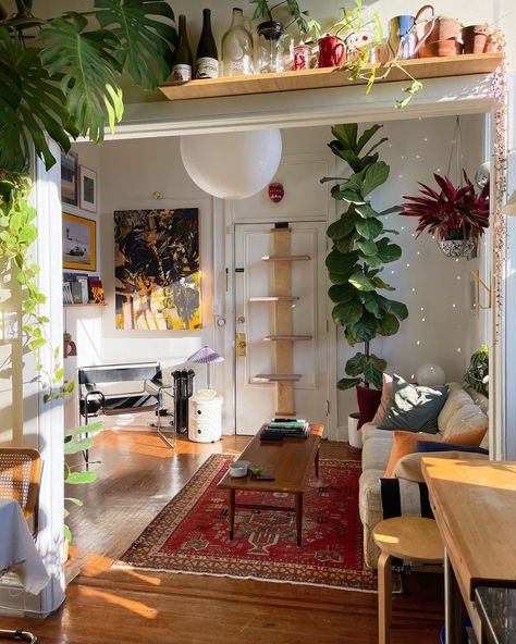 Lots Of Plants, Earthy Living Room, Deco Studio, Casa Vintage, Apartment Decor Inspiration, Baltimore Maryland, Decoration Inspiration, Dream House Interior, Apartment Inspiration