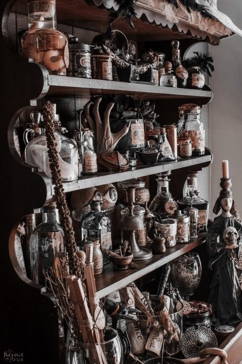 Apothecary Room Aesthetic, Curiosity Cabinet Aesthetic, Gothic House Aesthetic, Dream Altar, Wunderkammer Cabinet, Oddities Cabinet, Chinese Cocktail, Antique Display Ideas, Packaging Aesthetic