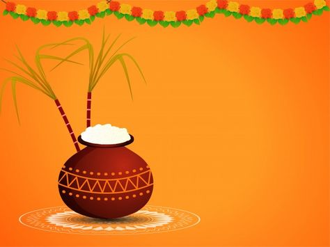 Food Card Design, Pongal Background, Pongal Greeting Cards, Pongal Images, Happy Pongal Wishes, Mom Wallpaper, Pongal Wishes, Nivedha Thomas, Christmas Background Photography