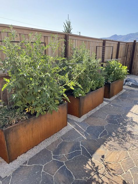 Corten steel planters with treliss and tips on how to avid staining on stone patio Planters With Trellis, Metal Trough Planter, Corten Steel Planters, Trough Planters, Patio Planters, Steel Planters, Raised Planter, Metal Planters, Corten Steel