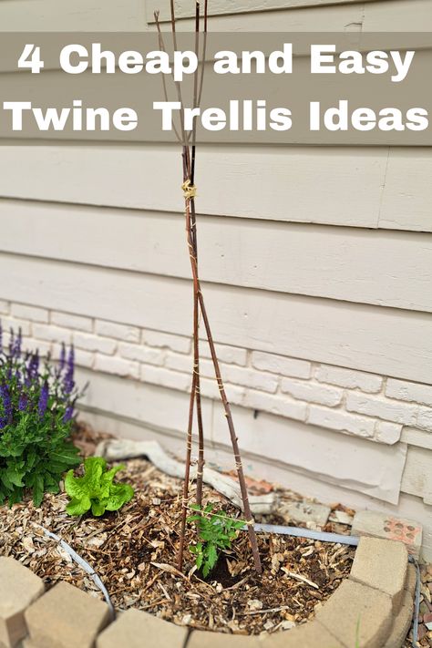 Cheap Twine Trellis Ideas | Easy Trellis | Cheap Trellis | Garden Trellis | Garden DIY | Trellis made from sticks | Trellis with U-Posts | Trellis with T-Posts Twine Trellis, Cheap Trellis, Easy Trellis, Diy Garden Trellis Ideas, Homemade Trellis, Make A Trellis, Diy Trellis Ideas, Garden Trellis Ideas, Small Trellis