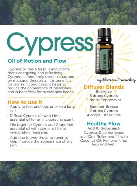 Cypress Diffuser Blends Doterra, Doterra Cypress Diffuser Blends, Cypress Essential Oil Diffuser Blends, Cypress Oil Blends, Cypress Oil Benefits, Cypress Essential Oil Blends, Cypress Diffuser Blends, Cypress Essential Oil Uses, Cypress Essential Oil Benefits