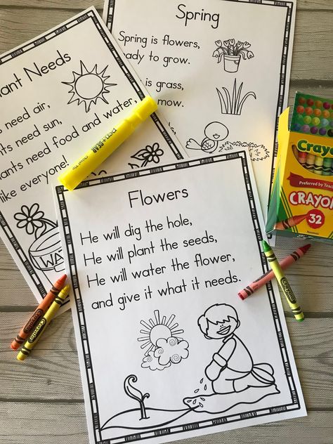 Spring Poems For Kindergarten, Sight Word Poems For Kindergarten Free, May Poems, Sight Word Poems, Shared Reading Poems, Kindergarten Poems, Homeschooling Kindergarten, Free Poems, Animal Poems