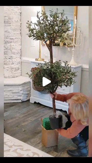 44K views · 4.6K likes | Tamara Salvetti on Instagram: "Make short trees look grand! 
Follow along for fun diys! 
Trees are from @nearlynaturalfloral
Double Olive Topiaries 
👉 TAG OR SHARE THIS REEL WITH SOMEONE YOU THINK WILL LOVE THIS. ❤️❤️❤️❤️
.
#diy
#artificialtree 
#olivetree
#baskets
#decorating 
#decor 
#diydecor
#interiordesign 
#interiordecor 
#homedecor" Olive Tree Decor Ideas, Turtle Topiary Diy, Turtle Topiary, Christmas Gift Box Topiary, Ornament Topiary Diy Front Doors, Topiary With Bow, Short Trees, Artificial Tree, Olive Tree