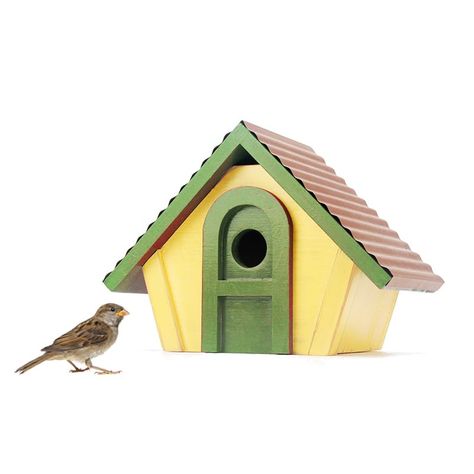 PRICES MAY VARY. Made From Western Red Cedar Wood, Most Weatherable Wood. Primed UV coating, Oil Based Finishing. Rustic Proof Metal Roof Protected. Longtime Lasting. Standard Entrance and Space Size 1.25" Opening for Wrens and Chickadees. It can stand up for 10 years in your backyard! Painted Birdhouses, Wren House, Hut House, Bluebird House, Wooden Bird Houses, Nest Box, Red Cedar Wood, Bird Houses Painted, Cedar Shingles