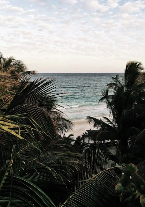 Tulum. – Sincerely Jules Places In The World, Beautiful Places In The World, Foto Instagram, Beach Aesthetic, Pretty Places, Island Life, Instagram Foto, Travel Aesthetic, Most Beautiful Places