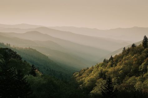 Great-Smoky-Mountains-Renee-Roaming Closet Gender Reveal, Renee Roaming, Eastern Tennessee, Smokey Mountains Vacation, Clingmans Dome, Mountain Vibes, Itinerary Ideas, Gender Reveal Ideas, National Park Photos