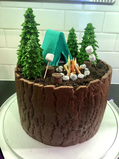 Camping Party Cake, Mountain Cake Birthday, Wilderness Cake, Camping Themed Cake, Hiking Cake, Forest Theme Cakes, Camping Theme Cakes, Bonfire Cake, Camping Birthday Cake