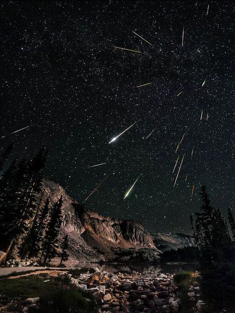 So, the Perseids meteor shower was pretty magical. Perseids Meteor, Perseid Meteor Shower, Matka Natura, Earth Photos, Meteor Shower, Earth From Space, To Infinity And Beyond, The Night Sky, Shooting Stars