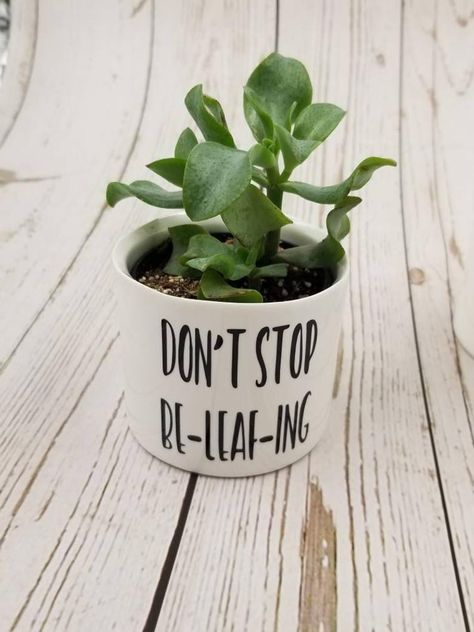 Don't Stop Be-Leaf-Ing Punny Plant Pot Garden Puns, Pots Plants, Plant Puns, Plant Pot Design, Flower Pot Art, Plant Pot Diy, Painted Pots Diy, Flower Pot Crafts, Succulent Gardening