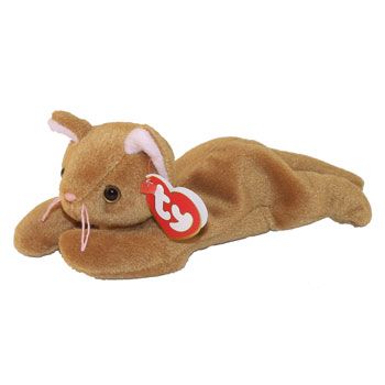 Ty Plushies, Contact Pictures, Childhood Core, Baby Beenies, Cat Beanie Baby, Mha Dr, Beanie Baby Bears, Baby Wish List, Baby Wishlist