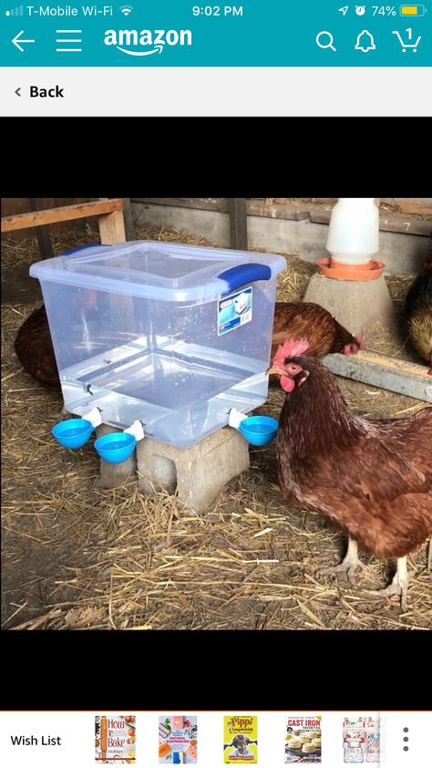 Diy Chicken Coop Watering System, Small Diy Chicken Coop Ideas, Chicken Gym Ideas, Low Budget Chicken Coop Ideas, Duck Housing Ideas, Chicken Roosting Ladder, Chicken Keeping For Beginners, Rooster Coop Ideas, Chicken Gazebo