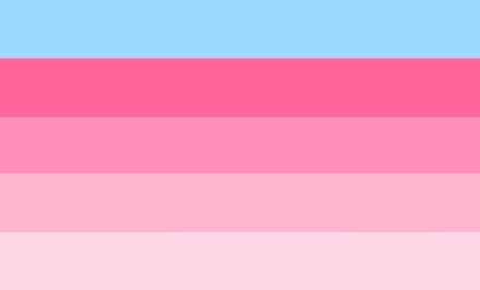 Tfem-spec or tfem-spectrum (tf-spec) is an umbrella term for gender identities on the transfeminine spectrum. Transfeminine Flag, Neo Pronouns, Gender Identities, Angry Girl, Umbrella Term, Gender Flags, Lgbtq Flags, Gender Identity, Inside Jokes