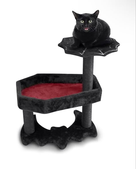 Coffin Cat Bed, Coffin Bed, Goth Cat, Gothic Cat, Gothic Coffin, Chat Halloween, Spooky Cat, Goth Home Decor, Spooky Designs