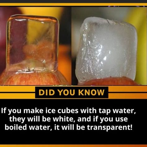 World Facts Interesting, Weird Facts You Didnt Know, Cool Fun Facts, Idea Reels, World Facts, Chemistry Education, True Interesting Facts, Interesting Facts About World, Amazing Science Facts