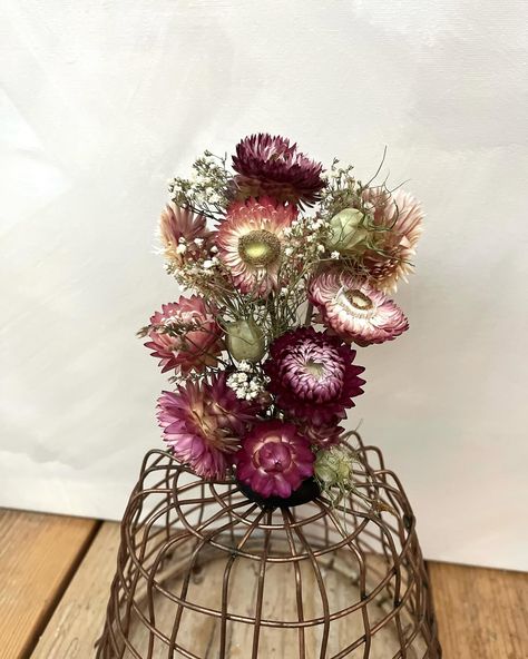 Autumn is for creating. Even if it is miniature arrangements made from dried garden flowers #floralfunfridays 😍 🍂 . . #october #driedflowers #driedflowerarrangement #florist #surreyfloraldesign #halloween #autumn #fall #love #art #nature #photography #spookyseason #pumpkin #autumnvibes #instagood #photooftheday #happyhalloween #instagram #scary #picoftheday #fallvibes #pumpkins #like #beautiful #travel #happy #naturephotography Fall Love, Travel Happy, Halloween Autumn, Beautiful Travel, Art Nature, Garden Flowers, Autumn Fall, Fall Vibes, Love Art