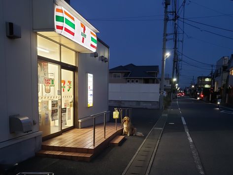 Convience Store Aesthetic Night, 7 11 Japan, Japan Convience Store, 7/11 Night, 7/11 Store, Japanese 7-11, Aesthetic Convience Store, 7/11 Store 7 Eleven, 7 11 Aesthetic Night