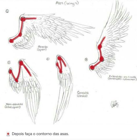 Wing Reference Drawing Angel, How To Draw Angel Wings Step By Step Easy, Closed Wings Drawing, Angel Wings Drawing Reference, Wings Animation, How To Draw Wings, Wings Tutorial, Supernatural Drawings, Angel Wings Drawing