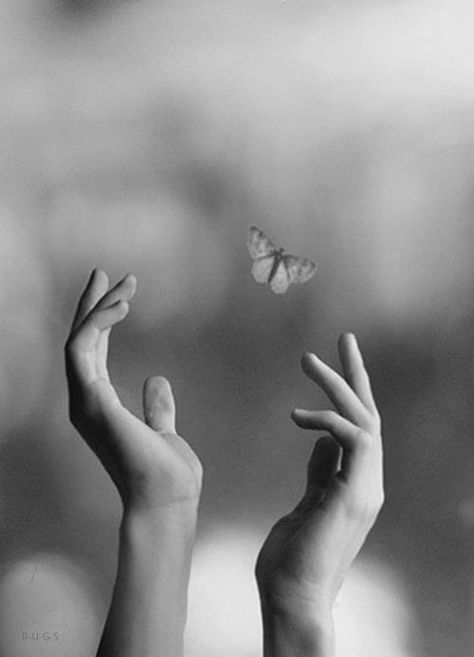 Free. Hand Fotografie, Papillon Butterfly, Yoga Logo, Hand Photography, Hand Reference, The Poem, Eckhart Tolle, Foto Inspiration, 인물 사진