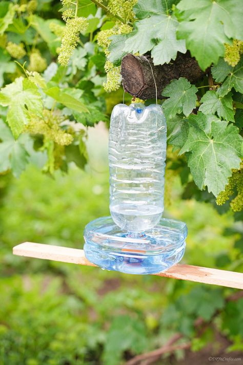 Diy Water For Birds, Sugar Water For Hummingbirds, Bird Feeders For Kids To Make, Gardening Hobby, Bird Water Feeder, Bird Feeder Station, Bird Feeder Stands, Make A Bird Feeder, Water Bottle Crafts