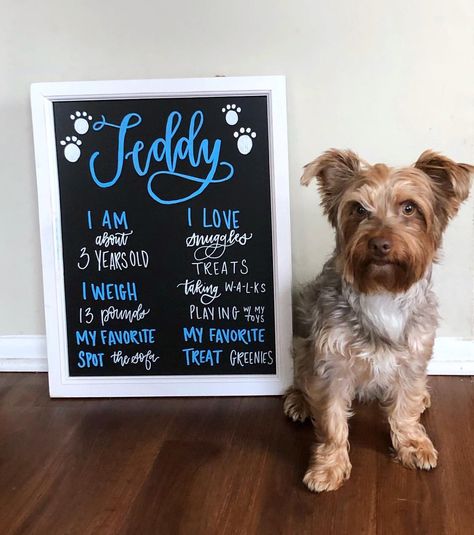 Teddy’s birthday sign! Sweet 16 Dog Birthday, Birthday Party Signs, Love Your Pet Day, Chalkboard Lettering, Pumpkin Birthday, Gotcha Day, Dog Birthday Party, Bakery Business, Chalkboard Sign