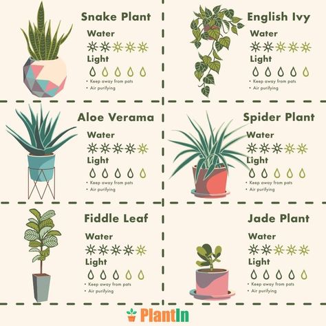 Plant Posters, Identify Plants, Plant App, Lost Garden, Airbnb Promotion, Plant Journal, Succulent Garden Diy, Plant Problems, Indoor Plant Care