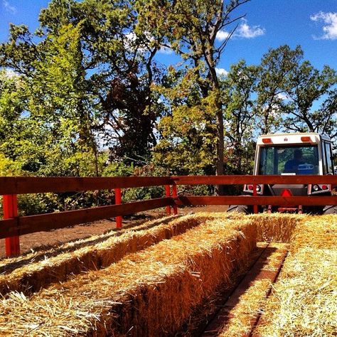 Hay Rides Aesthetic, Hay Ride Aesthetic, Hayride Aesthetic, Harvest Festival Activities, Hay Ride Ideas, Outdoor Bonfire, Orchard Ideas, Couple's Costume, Fall Harvest Festival