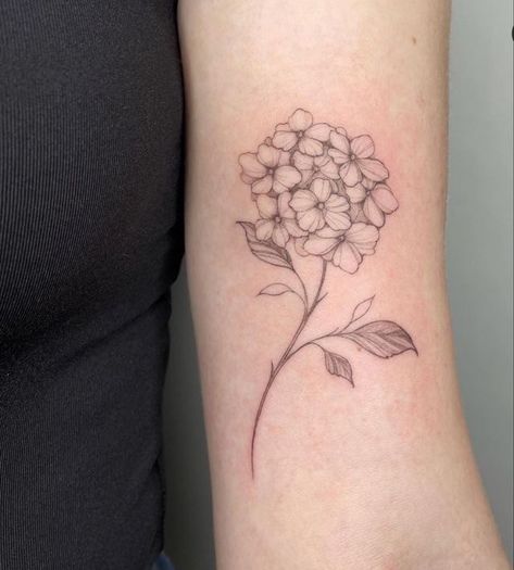 Hydrangea Tattoo Bouquet, Geranium Tattoo Design, Hydrangea Outline Tattoo, Dainty Hydrangea Tattoo, Hydrangea Fine Line Tattoo, White Hydrangea Tattoo, Geranium Flower Tattoo, Hydrangeas Tattoo, Hydrangea Drawing