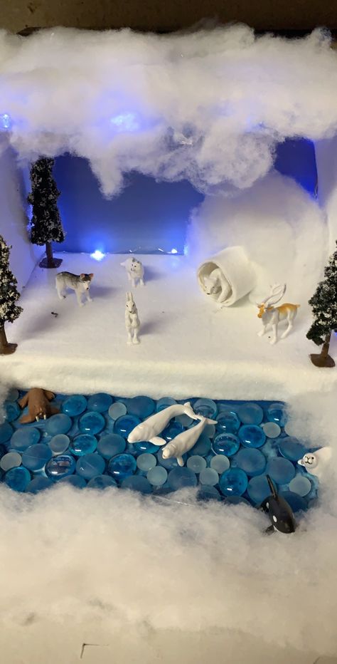 Artic Ecosystem Shoebox Project, Polar Habitat Diorama, Arctic Fox Project, Tundra Diorama For Kids, Arctic Fox Diorama, Arctic Tundra Diorama, Polar Bear Diaroma, Arctic Ecosystem Project, Polar Region Project