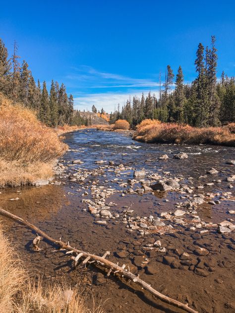 Beautiful scenery from Yellowstone National Park!! 🥰🌿 #yellowstone #yellowstonenationalpark #nationalparks #fall #wallpaper #wallpaperforyourphone Wallpaper For Your Phone, Yellow Stone, Yellowstone National, Fall Wallpaper, Yellowstone National Park, Beautiful Scenery, National Park, National Parks, Wallpapers