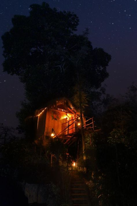 Tree house/ watch tower that may wind around a tree or set atop the pool side jacuzzi Tree House Aesthetic Dark, Old Treehouse Aesthetic, Tree House Aesthetic Inside, Tree House Aesthetic, Forest Treehouse, Tree House Bedroom, Fantasy Jungle, Fall Goals, Lofi Art