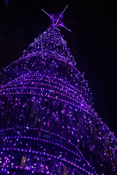 https://encrypted-tbn0.gstatic.com/images?q=tbn:ANd9GcRPtvPdQOigbA1Pzg50KNX2MbmDj_PoLvMxug&usqp=CAU Purple Christmas Tree, Wallpaper Natal, Friends Black, Aesthetic Friends, Purple Christmas, Purple Reign, Purple Love, All Things Purple, Noel Christmas