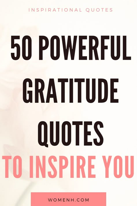 Kindness And Gratitude Quotes, National Gratitude Day, Gratitude Jar Quotes, Thank You Quotes For Support Gratitude Sayings, Motivational Quotes For Gratitude, Qoutes About Grateful, Quotes On Gratitude Be Thankful, Power Of Gratitude Quotes, Note Of Gratitude