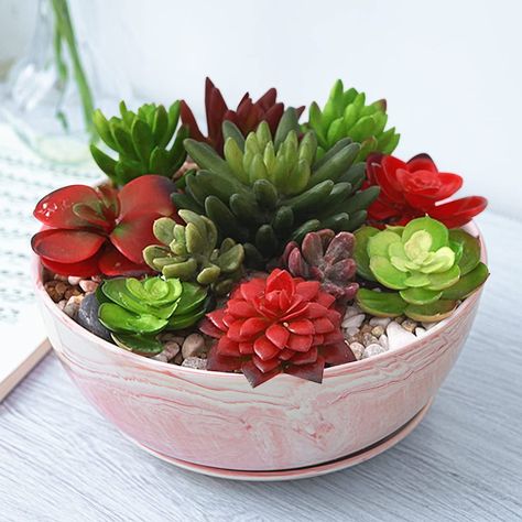 PRICES MAY VARY. 【Succulent Planter Quality Design】Exquisite marble ceramic pattern and its slippery surface, soft and smooth surface, good feel.Inside and outside are smooth ceramic surfaces that good at water holding capacity.(NO PLANTS INCLUDED) 【Size】 Succulent plants bowl diameter 10inch, height 4inch, ceramic tray diameter 7.6inch, height 1inch. 【Drainage Hole and Ceramic Tray】A drainage hole in the ceramic succulent plant pot bottom. No need to pour too much water for succulent so this dr Succulent Bowls Clay, Plants In Mugs Succulents, Succulent Bowls The Home Depot, Plant Saucers, Coastal Landscaping, Succulent Bowls, Pot For Plants, Ceramic Succulent Planter, Ceramic Succulent