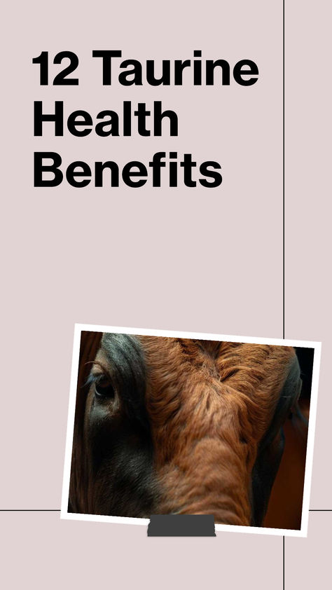 If you’re looking for a way to improve your overall health and well-being, then taurine might be worth considering. Taurine is an amino acid that plays an essential role in various bodily functions, including maintaining proper hydration, electrolyte balance, and supporting the nervous and immune systems. Tap to read the full article: Benefits Of Taurine, Taurine Health Benefits, Taurine Benefits, Electrolyte Balance, Proper Hydration, Classy Business Outfits, Amino Acid, Overall Health, Health Advice