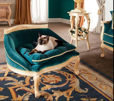 Pet Furniture Dog, Luxury Cat, Dog Bed Furniture, Pet Sofa, Dog Furniture, Luxury Pet, Cat Room, Dog Houses, Cat Furniture