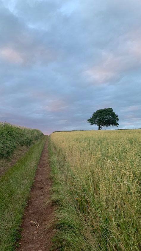 Field Reference Photo, Country Side Aesthetic Houses, Country Side Aesthetic Wallpaper, Country Side Life Aesthetic, Country Side Wallpaper, Country Side Life, Country Side Summer, Country Side Aesthetic, Countryside Life