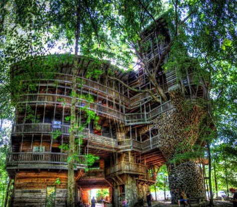 Large Tree House, Crossville Tennessee, Cool Tree Houses, Unusual Homes, Large Tree, Big Tree, Oh The Places Youll Go, Amazing Architecture, Vacation Spots