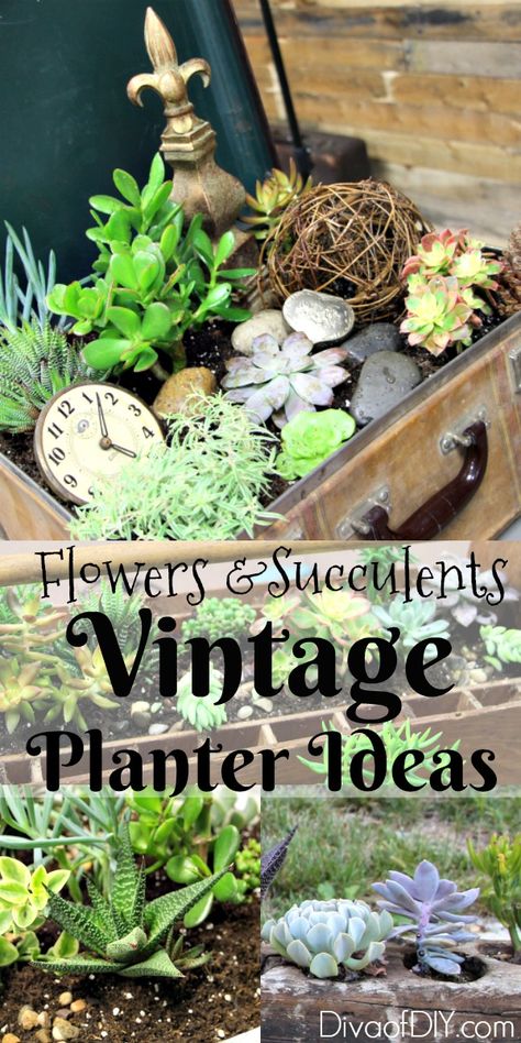 Try these unique outdoor flower planter ideas from repurposed items Great flower ideas for a flower garden in front of the house or indoor succulent garden! Flower Planter Ideas, Indoor Succulent Garden, Unusual Planter, Succulent Display, Succulent Garden Indoor, Vertical Vegetable Garden, Succulent Garden Design, Unique Planter, Pallets Garden