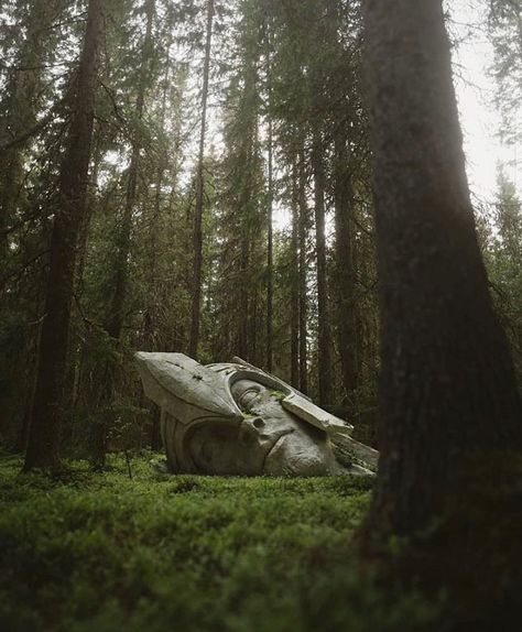 we'll all meet tolkien one day on Instagram: “Imagine walking through a forest and you suddenly saw this🤩 Your reaction? ph by lovely @william_faucher  #lotr #lordoftherings  #tolkien…” Into The West, Between Two Worlds, Lotr Art, The Shire, Fellowship Of The Ring, Earth Elements, Fantasy Story, Jrr Tolkien, Fictional World