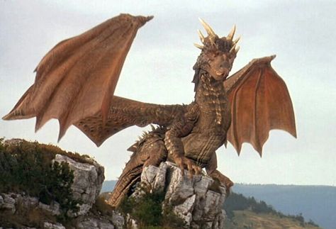 Draco voiced by Sean Connery in the film Dragonheart. Dragon Poses, Dragon Riders, Dragon Movies, Dragon Heart, Dragon's Lair, Dragon Tattoos, Story Starters, Giant Monsters, One Ok Rock