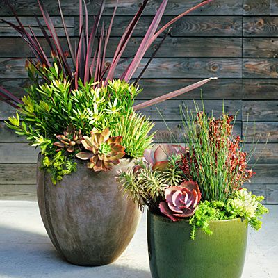 (clockwise, from bottom center of pot): Sedum rupestre ‘Angelina’ (1 gal.); Sedum adolphii (4 in.); Coprosma ‘Evening Glow’ (1 gal.); Chondopetalum tectorum (1 gal.); Echeveria ‘Coral Glow’ (6 in.); Kalanchoe ‘Fantastic’ (6 in.); Euphorbia ‘Ascot Rainbow’ (1 gal.). Spring Planting Guide, Garden Checklist, Mini Landscape, Succulent Landscape Design, Succulent Landscaping, Container Design, Succulents In Containers, Have Inspiration, Garden Containers