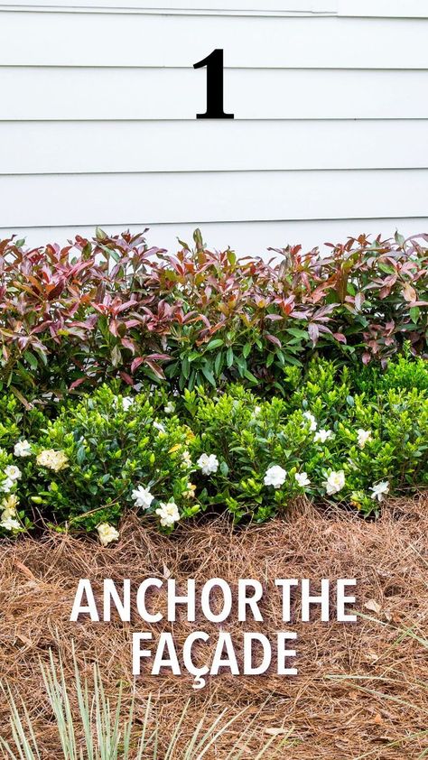 Simple Foundation Landscaping, Foundation Planting Plans, Foundation Planting Ideas Front Yards, Low Maintenance Landscape Ideas Front Yard, Ranch Landscaping Ideas Front Yard, Foundation Landscaping, Landscape Design Front Of House, Spiritual Flowers, Colonial Landscaping