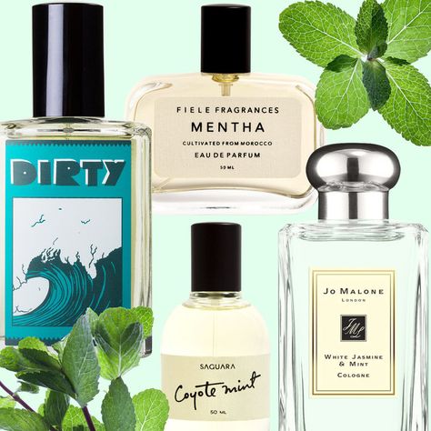 6 Mint Fragrances That Don't Smell Like Toothpaste Mint Perfume For Women, How To Smell Like Mint, Mint Perfume, Smell Fresh All Day, Perfume Suggestions, Mint Fragrance, Natural Face Cleanser, Fresh Perfume, Eucalyptus Mint